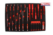 Screwdriver and precision tool set in foam insert with assorted drivers and bits for professional use