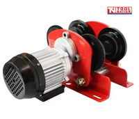 Electric Hoist With Girder Trolley 125/250kg - Whm250C