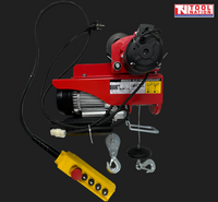 Electric Hoist With Girder Trolley 250/500kg - Whm500C